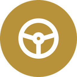 Real-life driver