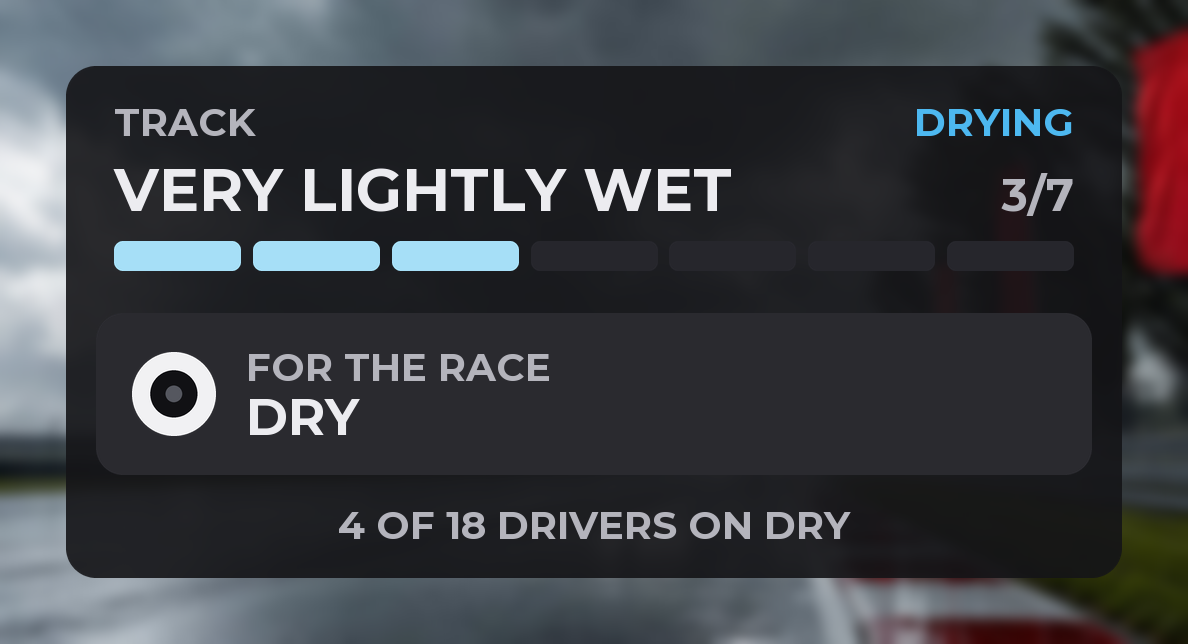 FOR THE RACE
